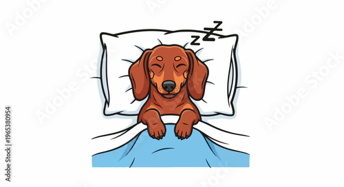 Cute cartoon dachshund sleeping peacefully on a pillow under a blue blanket