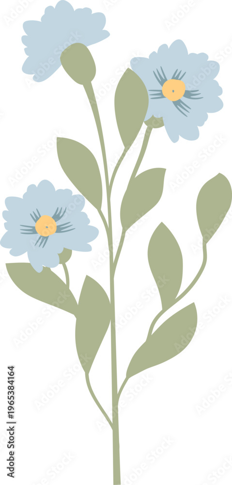 Fototapeta premium Wildflower Stem Blooming Botanical