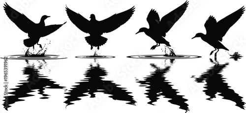 Black duck bird silhouette collection landing on water with ripples and reflections for nature wildlife pond and lake vector design projects.