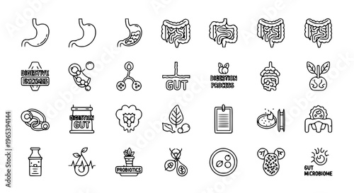 Minimal digestion outline icon set with stomach, intestines, and gut health symbols