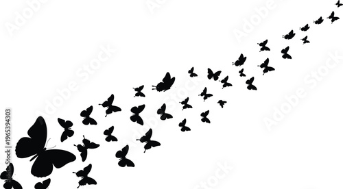 Set of black butterfly silhouettes flying in a trail swarm isolated on white background, elegant decorative nature design elements for creative projects