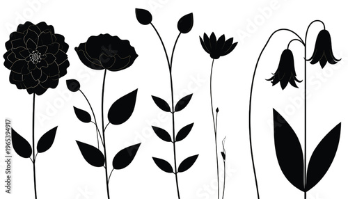 Black and white illustration of stylized flowers with long stems and buds