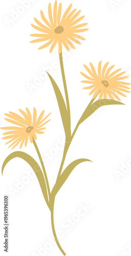 Wildflower Stem Trio Botanical