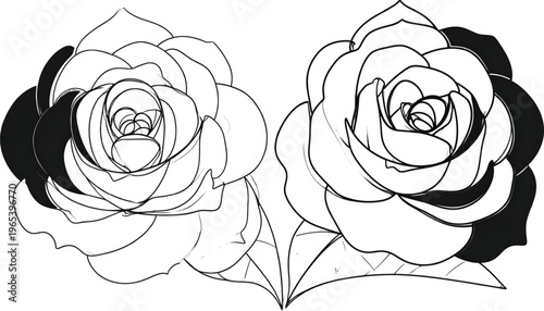 Two elegant black and white line art roses facing opposite directions