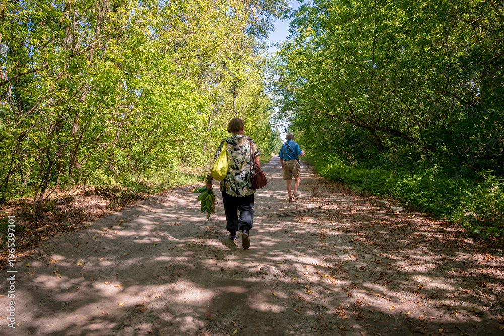 Obraz premium Active Senior Couple Walking on a Scenic Forest Trail During a Sunny Summer Day