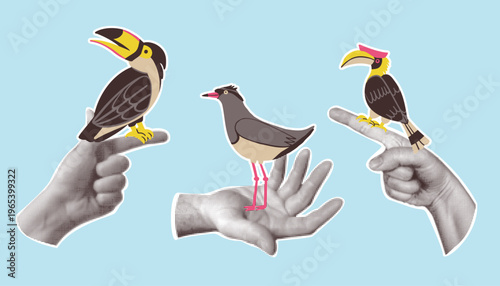 Three hands cut out of paper in dots holding cute colorful cartoon birds, toucan, hornbill and crowned lapwing. Contemporary art collage