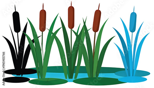 Colorful flowering reeds growing in a natural watery environment