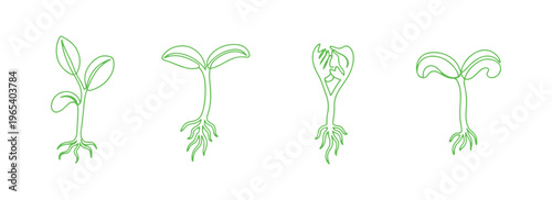 Eco plant sprouts created in continuous line style for nature icon collection.
