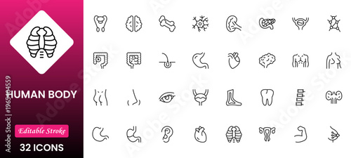 Line icons of anatomy, human body organ line icon set. Linear icon collection. Editable stroke. Vector illustration