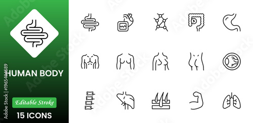 Line icons of anatomy, human body organ line icon set. Linear icon collection. Editable stroke. Vector illustration