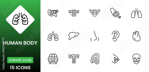 Line icons of anatomy, human body organ line icon set. Linear icon collection. Editable stroke. Vector illustration