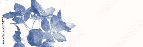 Apple blossom cyanotype botanical background. Stipple dot overlay texture with spring flower silhouette. Delicate indigo blue nature banner for template and graphic design project.