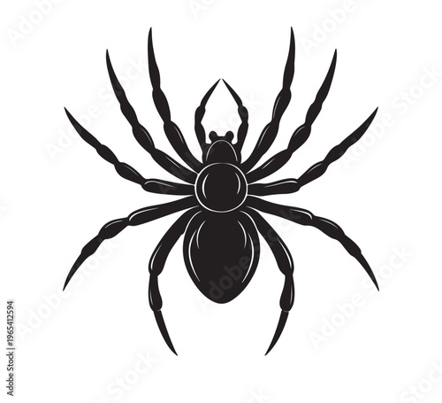 A detailed black silhouette illustration of a spider, with eight legs spread out, set against a white background, representing arachnids and insects for educational or decorative purposes
