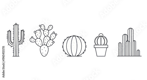 Minimalist Cactus Icons Vector Set