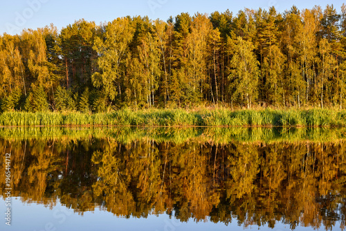 Tranquil River Reflections of Autumn Trees