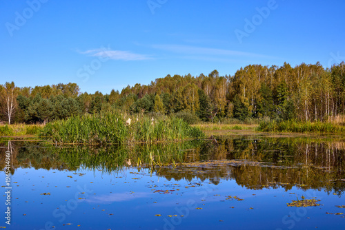 Tranquil River Reflections of Autumn Trees
