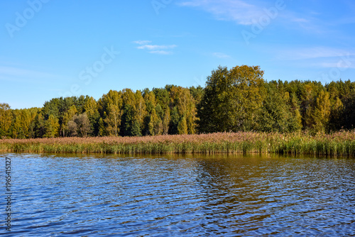 Serene Riverbank Scene with Lush Greenery