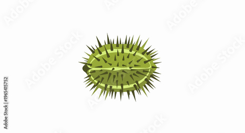Round, spiky green fruit or seed pod, isolated on white