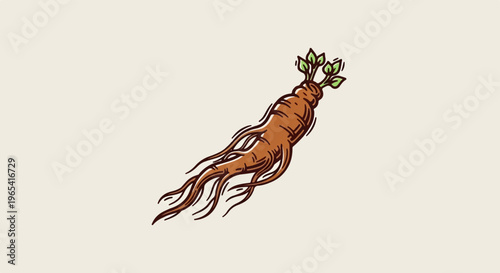 Hand-drawn illustration of a brown, spindly ginseng root with green leaves