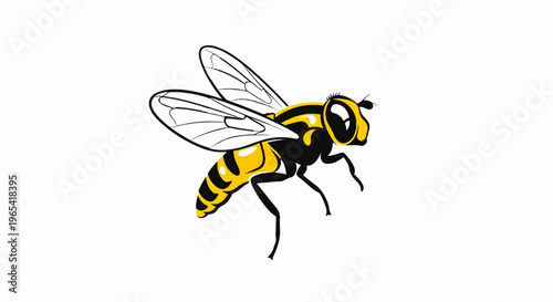 Stylized illustration of a black and yellow insect with transparent wings