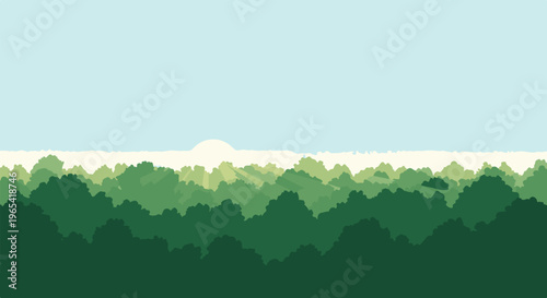 Lush green forest canopy under a soft blue sky with peeking sunbeams