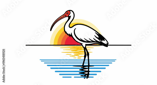 White ibis stands in water with a vibrant sunset and reflection