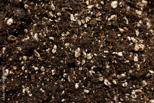 Canvas Print Potting soil texture with perlite for indoor plants background