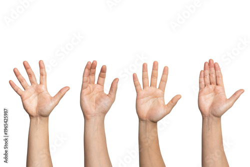 Open hands raised isolated on white background, palm gesture set, communication concept. Raised open hands, greeting and stop gesture concept