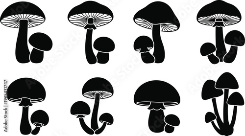 Boat and ship silhouette icon set, marine transport collection with cargo vessel, yacht, cruise ship and fishing boat vector illustration isolated on white background