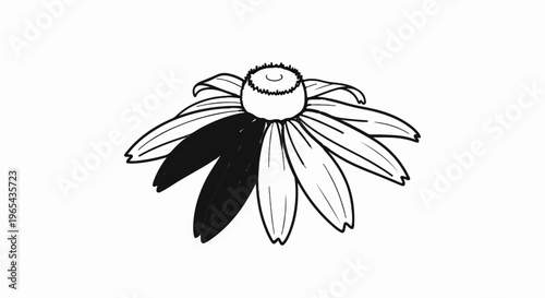 A simple, sketched flower with dark petals on one side against white