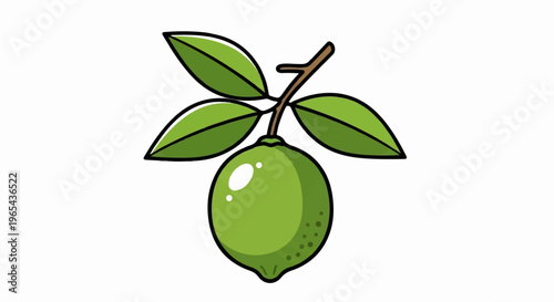 A cartoon-style illustration of a single green lime with four leaves on a branch
