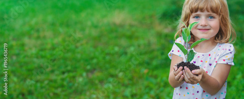 Children watch plant trees, hold in their hands. Selective focus.