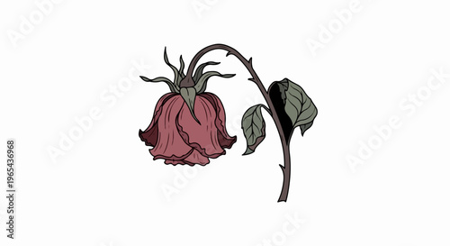 A wilted, dark pink rose droops sadly on a thorny stem