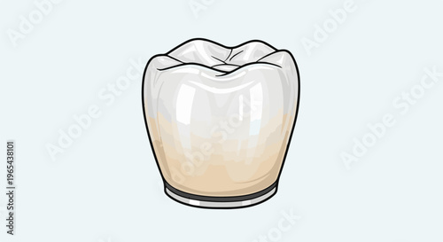 Detailed illustration of a human molar tooth with enamel, dentin, and gingival margin