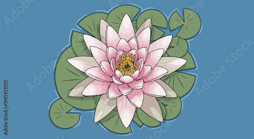 Detailed illustration of a pink water lily with yellow center surrounded by green lily pads