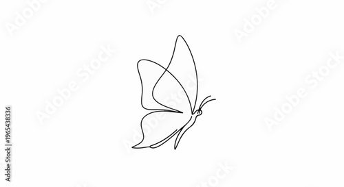 Elegant line art of a butterfly in mid-flight, isolated on white