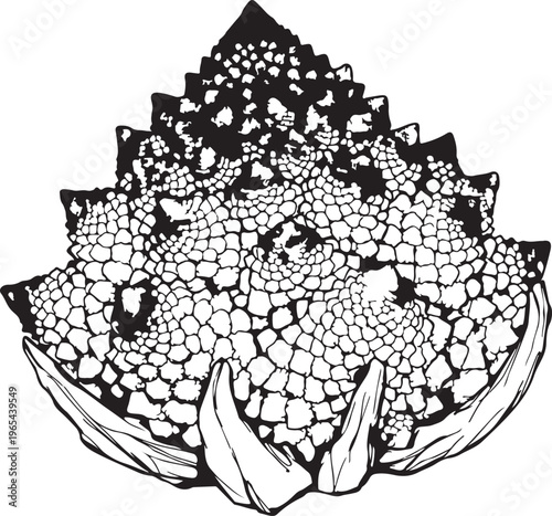 Monochrome illustration of a formidable reptilian head, detailed with intricate scales, sharp spikes, and prominent horns, capturing ancient power and rugged primal texture