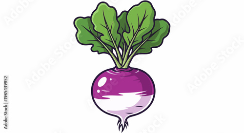 Colorful root vegetable with vibrant green leaves