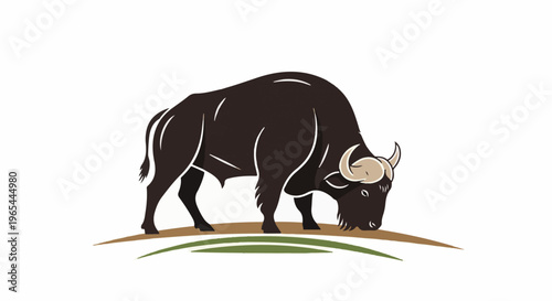 Dark bull with curved horns grazes on brown earth with green grass