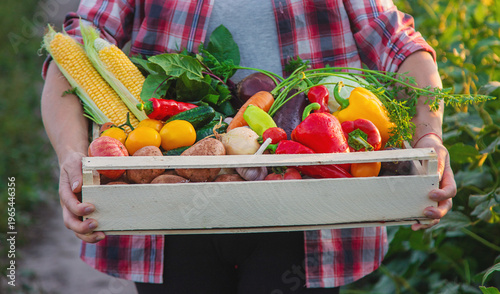 A woman farmer holds vegetables in her hands. Selective focus.