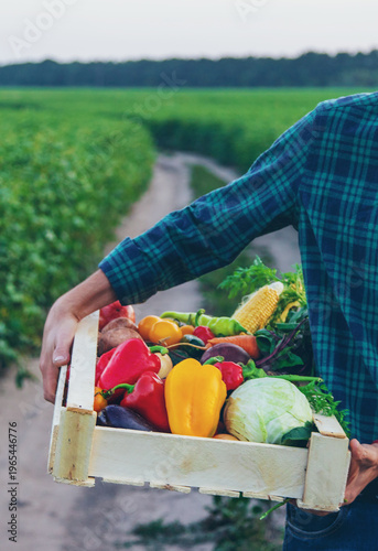 A man farmer holds vegetables in his hands. Selective focus.