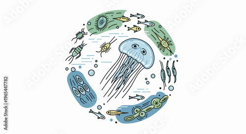 Diverse aquatic lifeforms depicted in a circular arrangement with a jellyfish center