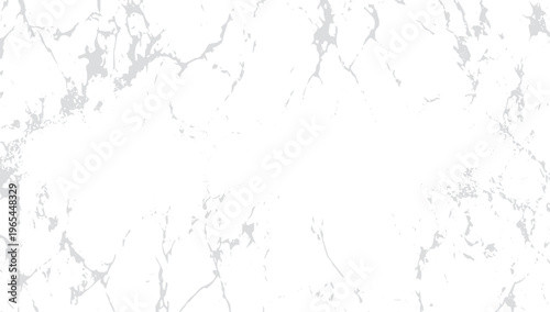 White Marble Texture with Gray Veins