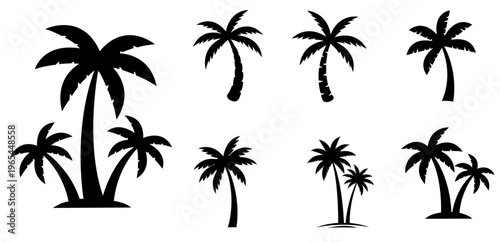 Vector set of palm trees silhouettes