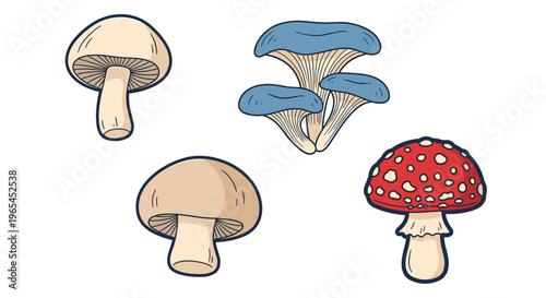 Colorful mushroom collection illustrates fungal biodiversity with edible and poisonous varieties for nature studies, science education, cooking recipes, and autumnal designs showin.