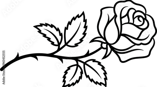 Elegant rose flower line art illustration with detailed thorns and leaves on white background, ideal for wedding invitations, coloring books and floral tattoos