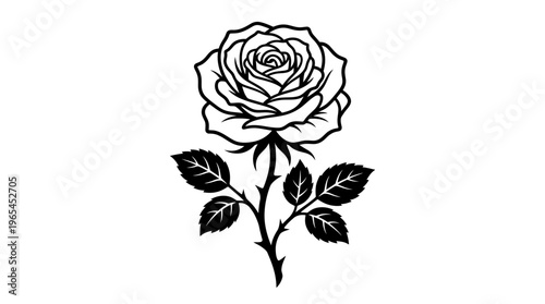 Elegant black and white rose flower line art illustration with thorns and leaves isolated on white background, ideal for logo design, tattoo inspiration and botanical wedding invitation cards