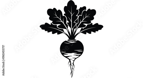 A striking black silhouette depicts a vibrant beet with leafy greens and a visible root structure silhouette