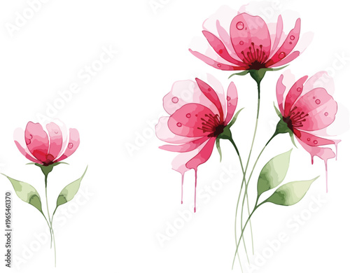 Watercolor painting of pink flowers on white background