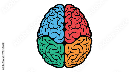 Top view illustration of a human brain divided into four colorful sections representing different mental and cognitive functions.